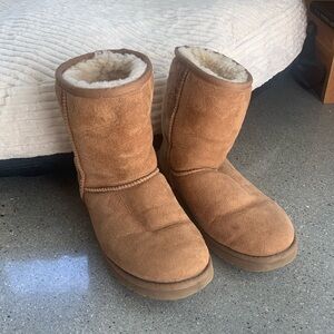 Chestnut Uggs!